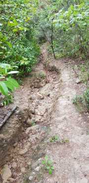 NEBIAN_2020-36
