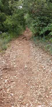 NEBIAN_2020-40