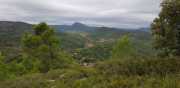 NEBIAN_2020-41