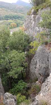 NEBIAN_2020-42