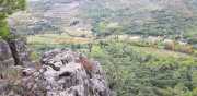 NEBIAN_2020-43