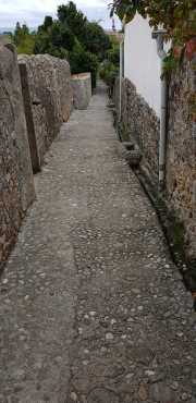 NEBIAN_2020-44