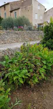 NEBIAN_2020-45