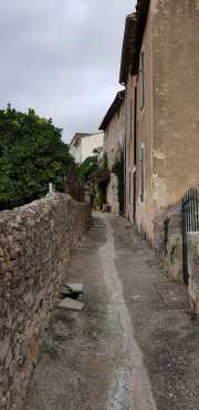 NEBIAN_2020-46