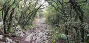 CLARET_CORCONNE-10