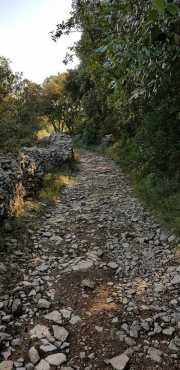 CLARET_CORCONNE-107
