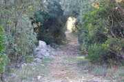 CLARET_CORCONNE-80