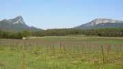 PIC_ST_LOUP-1