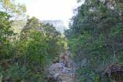 PIC_ST_LOUP-12