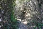 PIC_ST_LOUP-13