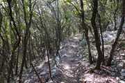 PIC_ST_LOUP-14
