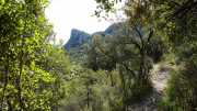 PIC_ST_LOUP-16
