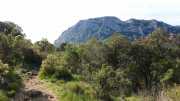 PIC_ST_LOUP-2