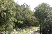 PIC_ST_LOUP-22