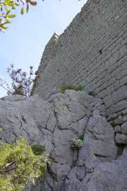 PIC_ST_LOUP-24