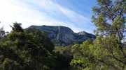 PIC_ST_LOUP-3