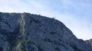 PIC_ST_LOUP-4