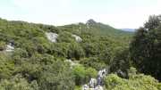 PIC_ST_LOUP-42