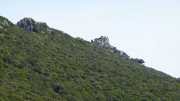 PIC_ST_LOUP-43