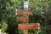 PIC_ST_LOUP-44