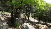 PIC_ST_LOUP-50