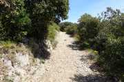 PIC_ST_LOUP-62