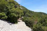 PIC_ST_LOUP-64