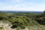 PIC_ST_LOUP-65