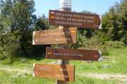PIC_ST_LOUP-68
