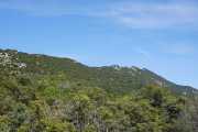 PIC_ST_LOUP-70