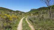 PIC_ST_LOUP-73