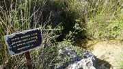 PIC_ST_LOUP-74