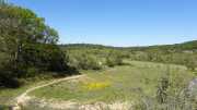 PIC_ST_LOUP-76