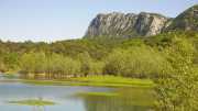 PIC_ST_LOUP-80