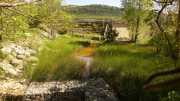 PIC_ST_LOUP-82