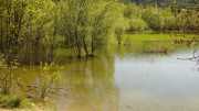 PIC_ST_LOUP-85