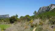 PIC_ST_LOUP-87