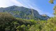 PIC_ST_LOUP-9