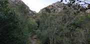 ALPILLES_21_01-10