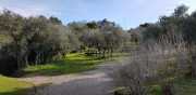 ALPILLES_21_01-119