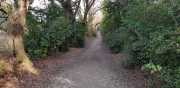 ALPILLES_21_01-122