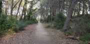 ALPILLES_21_01-124