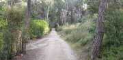 ALPILLES_21_01-125
