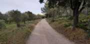 ALPILLES_21_01-126
