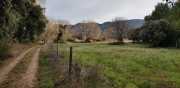 ALPILLES_21_01-127
