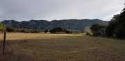 ALPILLES_21_01-128