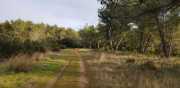 ALPILLES_21_01-130