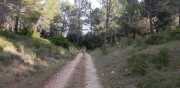 ALPILLES_21_01-131