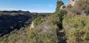 ALPILLES_21_01-17