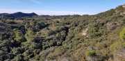 ALPILLES_21_01-19